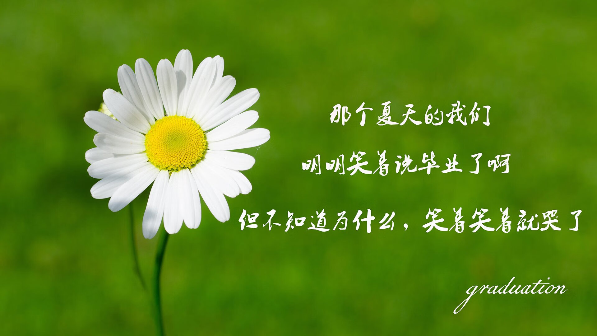 特色篮球文化节增强全民体育意识，推动体育文化繁荣，篮球文化节活动方案