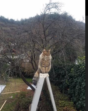熊猫体育娱乐-战队季后赛争夺白热化，战队季后赛争夺白热化球员