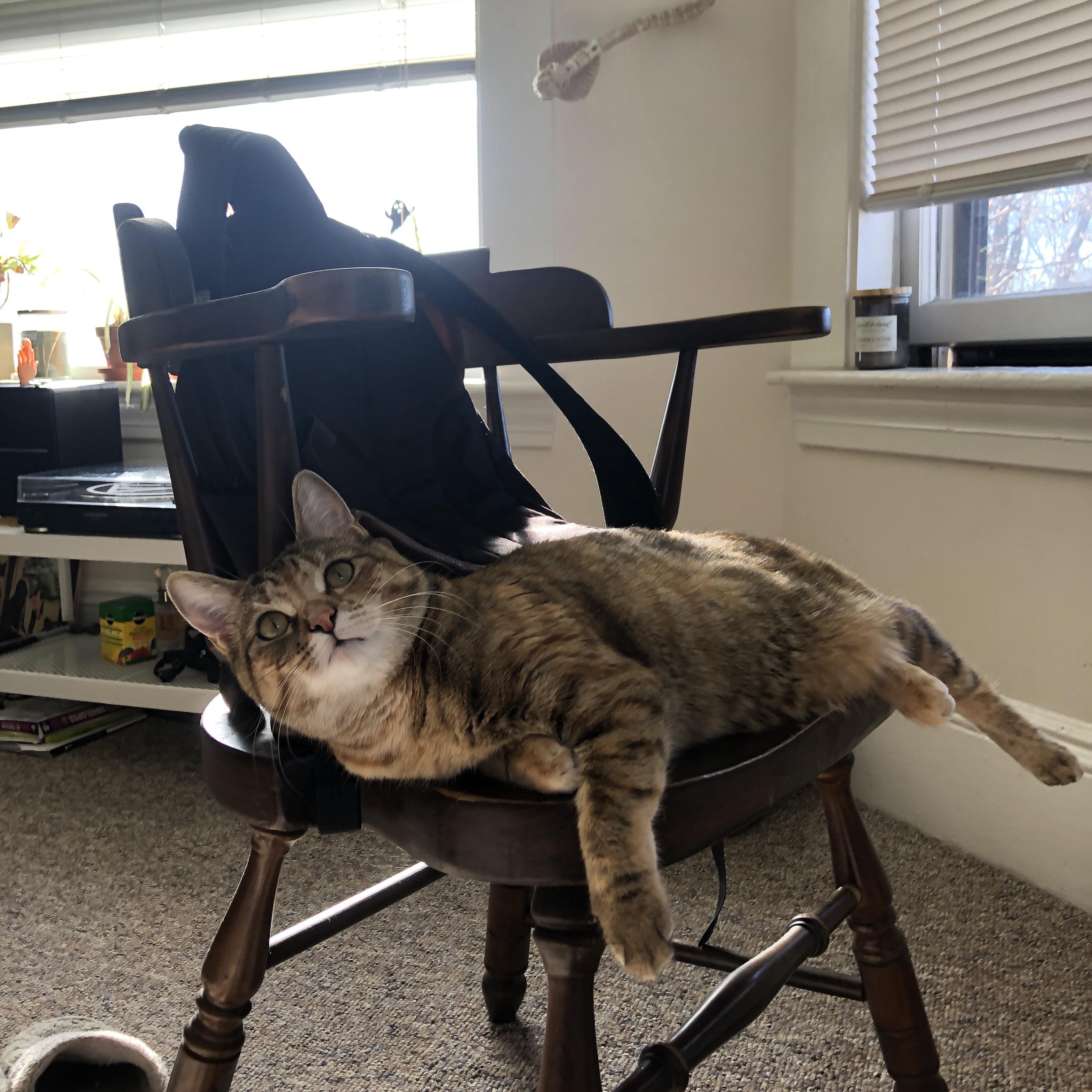 熊猫体育官方试玩-中超边后卫反向跑动与补位效率数据整合，中超 左后卫