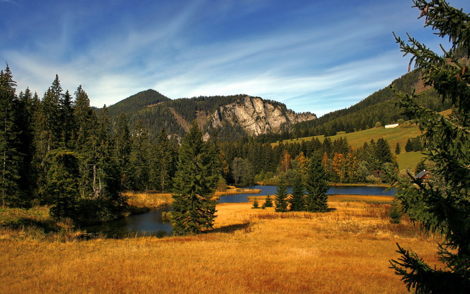 曼城终场绝杀切尔西完成复仇,曼城击败切尔西