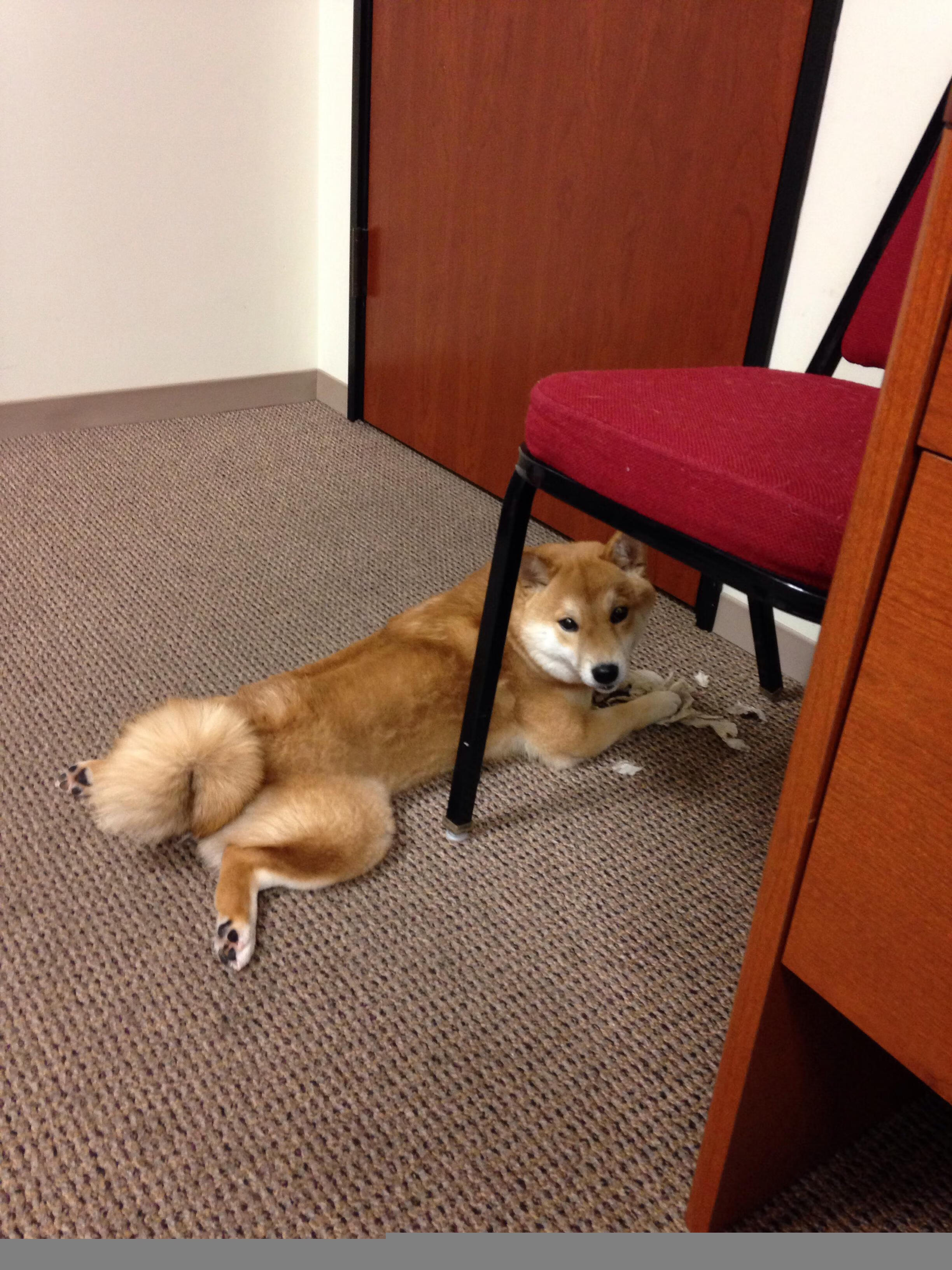 熊猫体育网站入口-李娜称打球最怕内耗而非对手，李娜打球特点