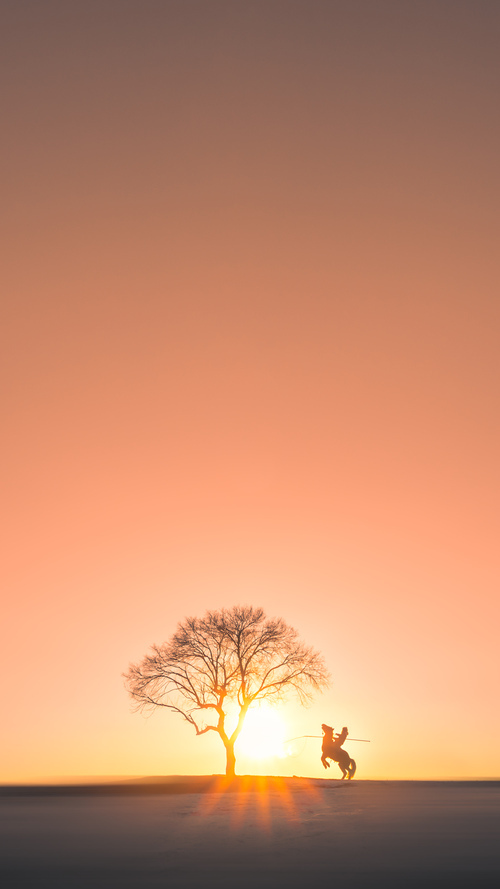 熊猫体育下载-独行侠主帅谈比赛控制能力有所进步，独行侠 主场