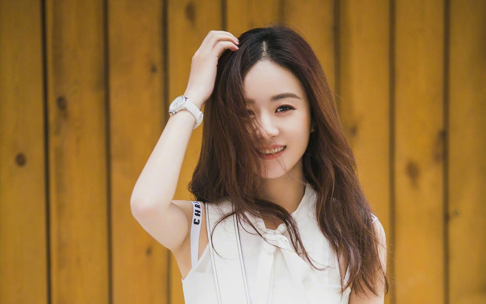 维尔·冯·威克:突破对方防线的利器,为南非队带来攻击优势,维尔纳冯西门子简介