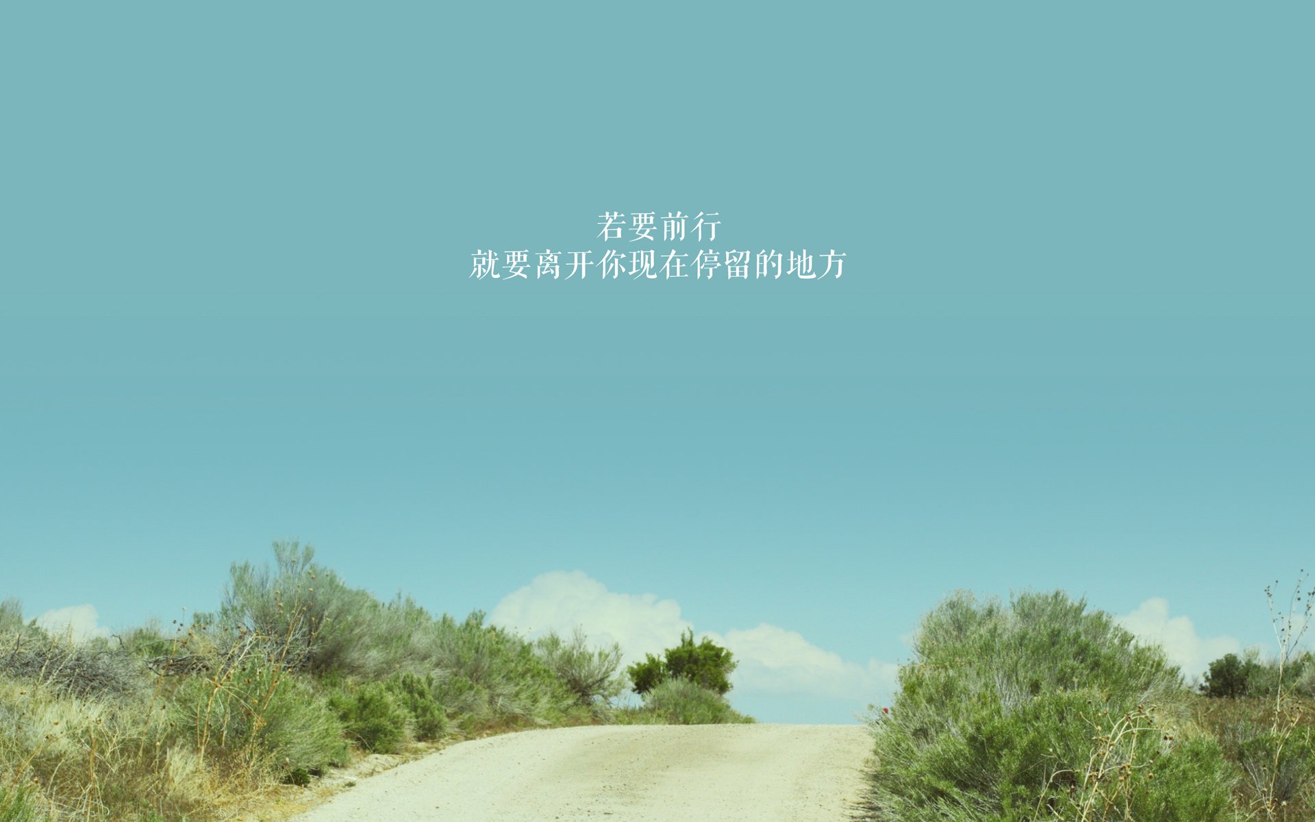 熊猫体育APP-范奥特尔戴克蝶泳赛道演绎青春力量，范戴克视频