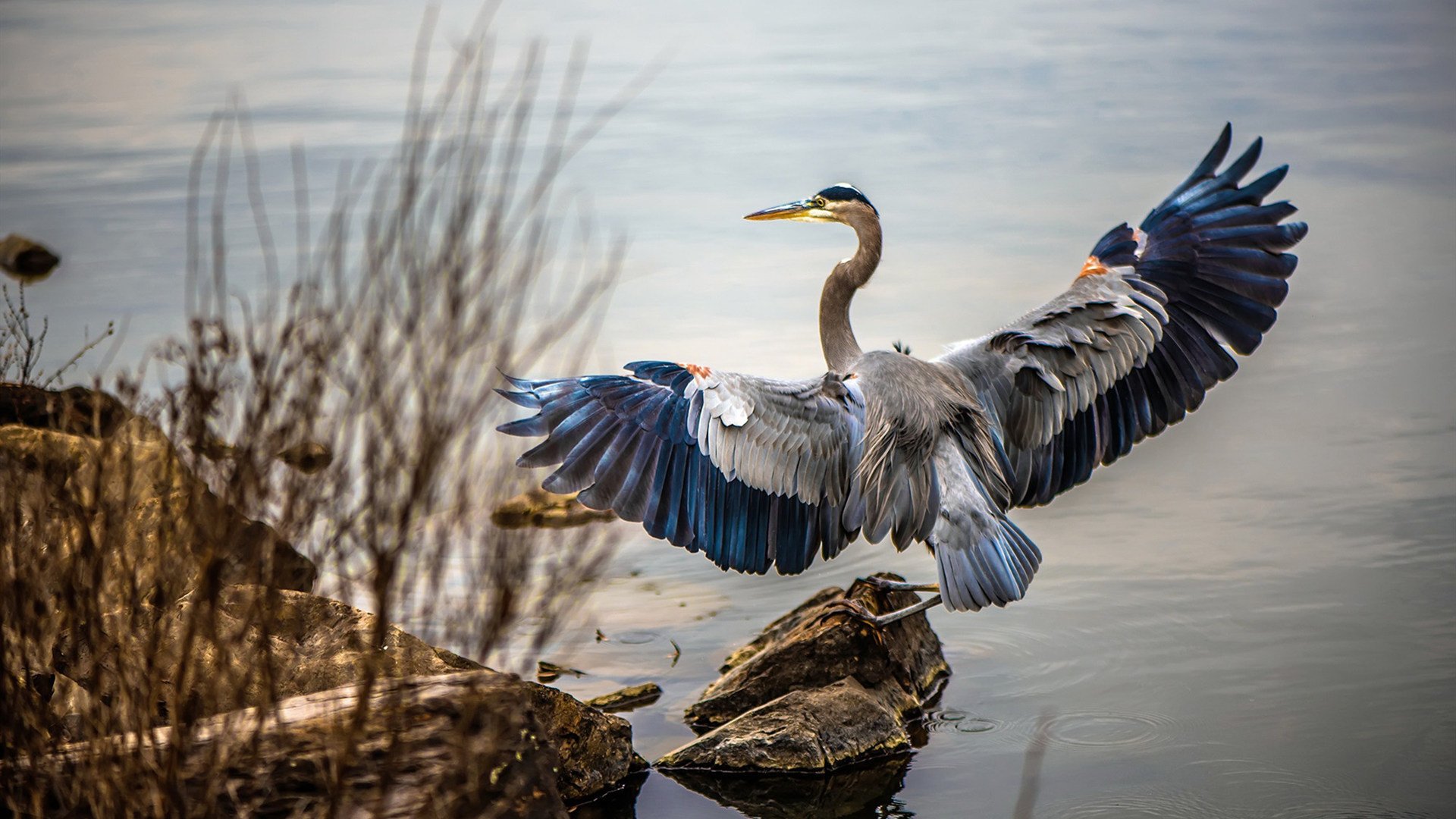 熊猫体育官方试玩-跳水稳定输出中立代表队A锁定奖牌，跳水队伍